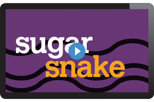 Sugar snake